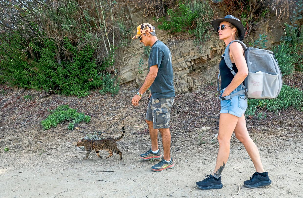 Atrakchi and Sophie Meister walk their Bengal cat Taita on a trail.