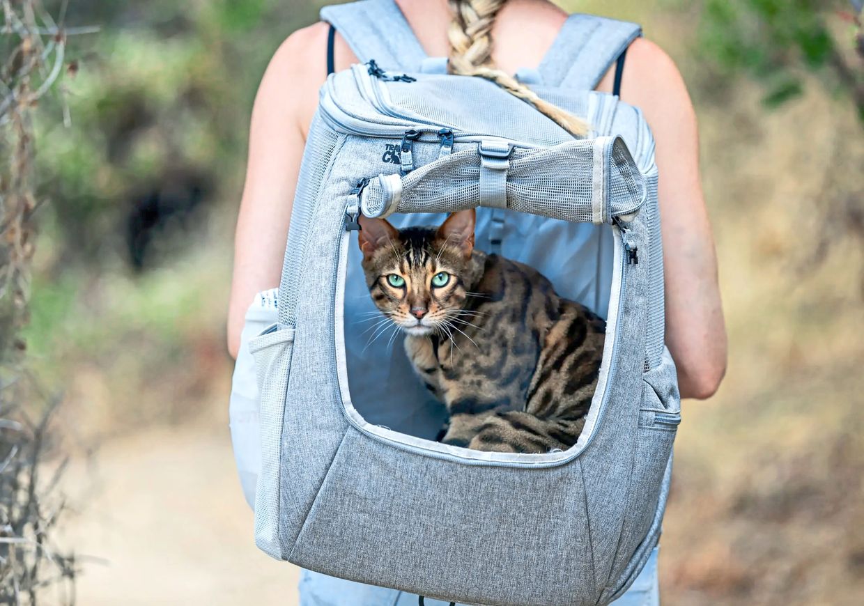 Sophie Meister carries Taita in a backpack while hiking a trail. It’s important to Atrakchi and Meister that Taita has a safe space.