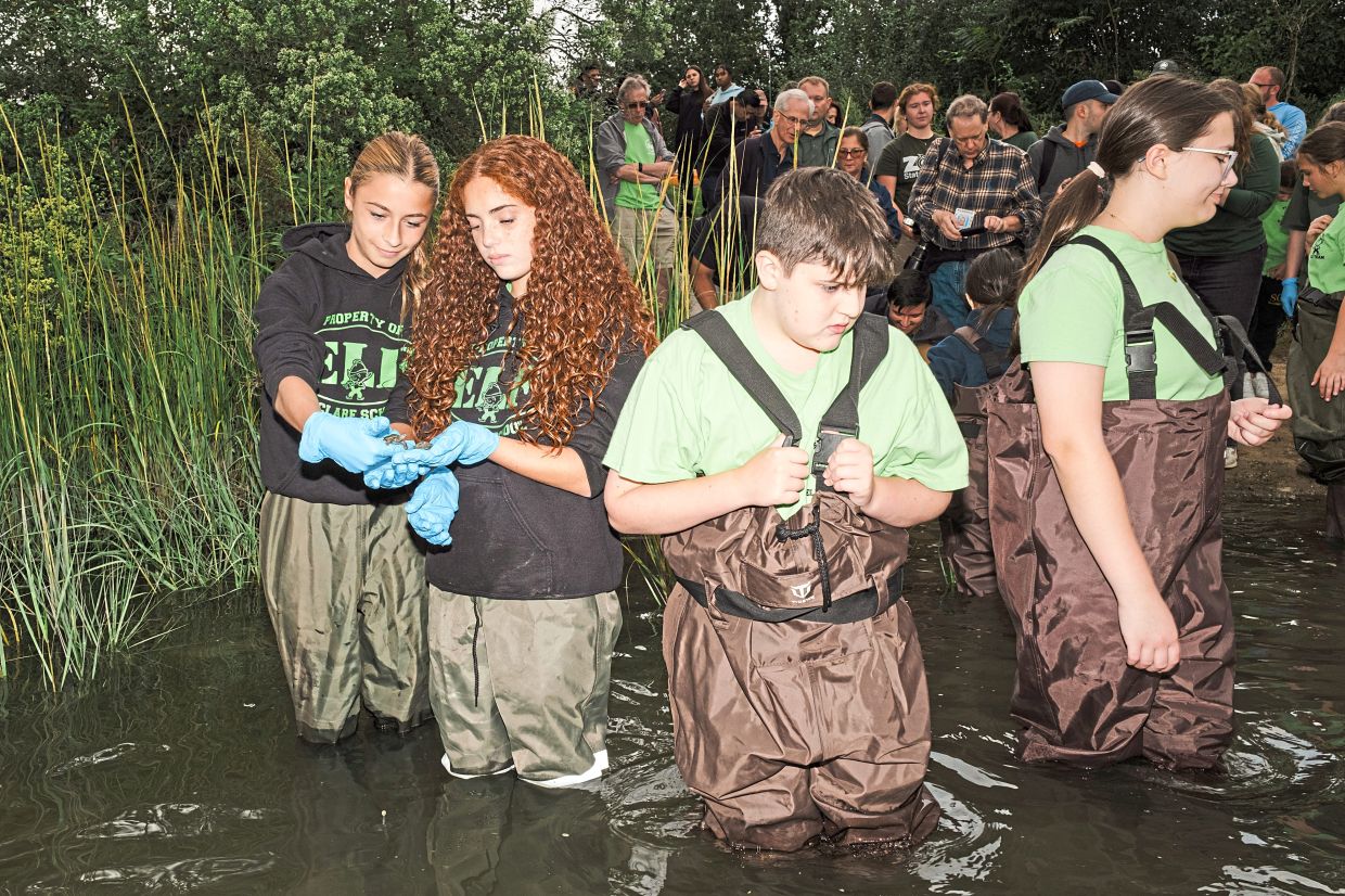 Students from St. Clare School on Staten Island release diamondback terrapins.