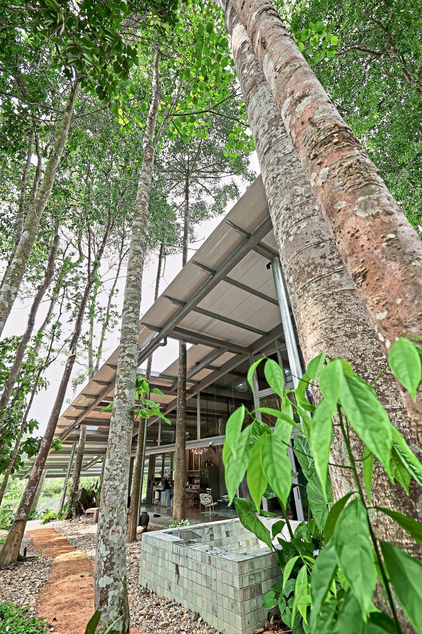 The canopy of greenery provided by the trees, some of which grow through gaps in the steel roof. The jacuzzi is seen in the foreground.