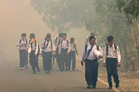 Where there’s smoke, there’s satire