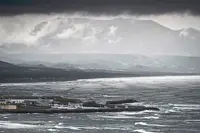 Rising sea levels are threatening biodiversity