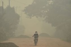 Indonesian police name 11 corporations as suspects in forest fire cases