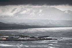Rising sea levels are threatening biodiversity