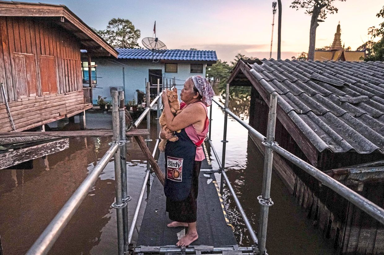 A villager carrying a cat as she walks across a makeshift footbridge made of metal scaffolding.— AFP