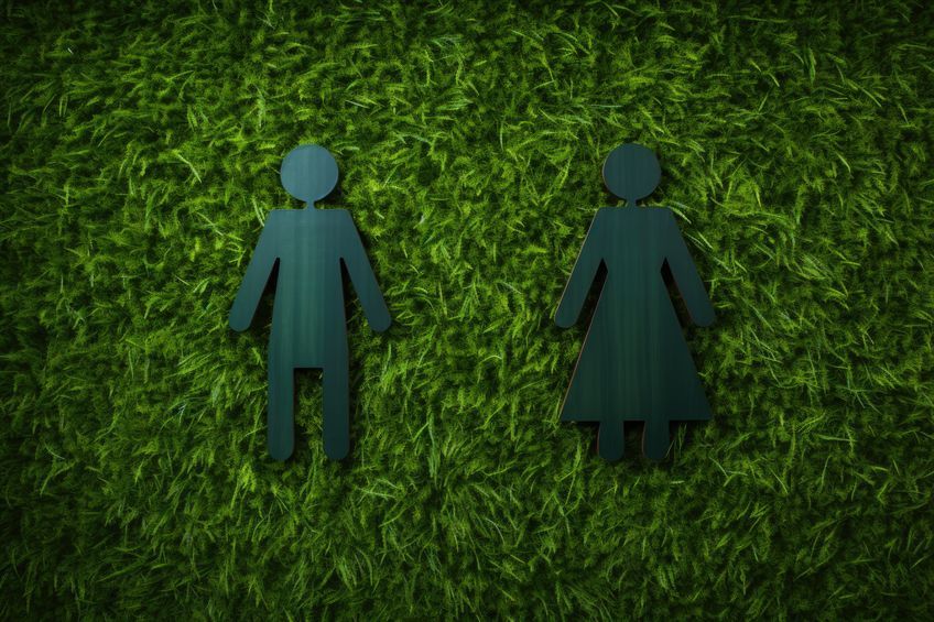The gendered feed: From stereotypes to second nature