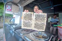Untreated manure blamed for fly infestation in Gopeng villages