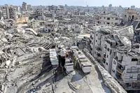 Life takes root in the rubble