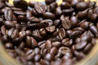Coffee: The little bean that woke the world