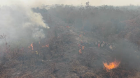‘We’re breathing in the smoke even as we sleep’: Living with haze in Sumatra