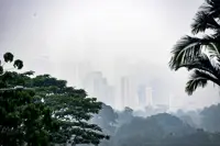 Air pollution and our health