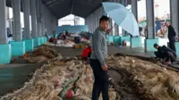 Taiwan shuts down as Typhoon Champi approaches