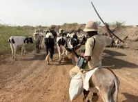 New famine risk haunts war-torn Sudan with El Niño-driven drought