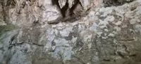 The world's oldest cave paintings in Indonesia under threat of wildfires