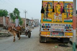 India police shoot hundreds of Muslim men accused of cow smuggling, AP investigation finds