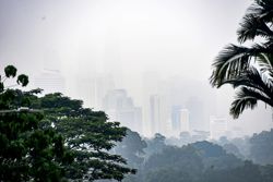 Air pollution and our health
