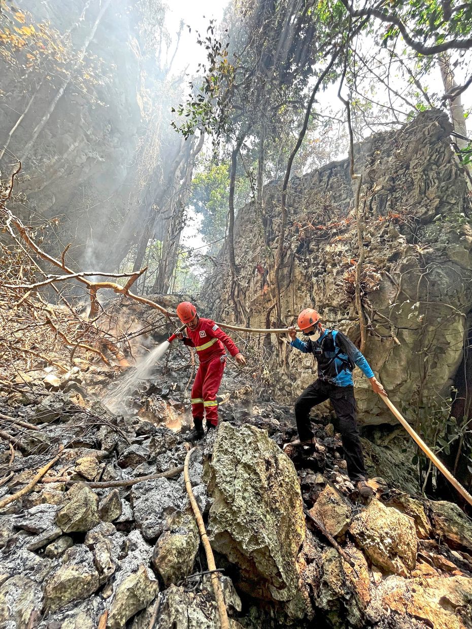 On a mission: Firefighters battling a wildfire on a hillside in Maros-Pangkep, South Sulawesi province. (Left) A rock painting depicting a pig, believed to be at least 51,200 years old, in a cave in the same area. — Reuters