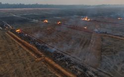 Fires at Papua food estate worsen haze pollution, raise environmental concerns