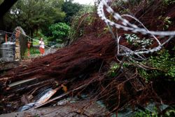 Typhoon Champi knocks out power to thousands in Taiwan