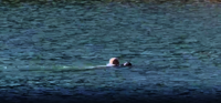 American tourist saves drowning woman at Dalat lake in Vietnam