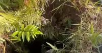 Malaysian rescued after falling into a 10-metre-deep hole in Dalat, Vietnam