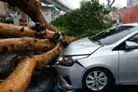 Tropical Storm Champi nears China after battering Taiwan and Japan; thousands of households affected in both countries
