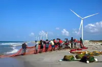 Sri Lankan turbine project fuels anger as fish hauls plunge