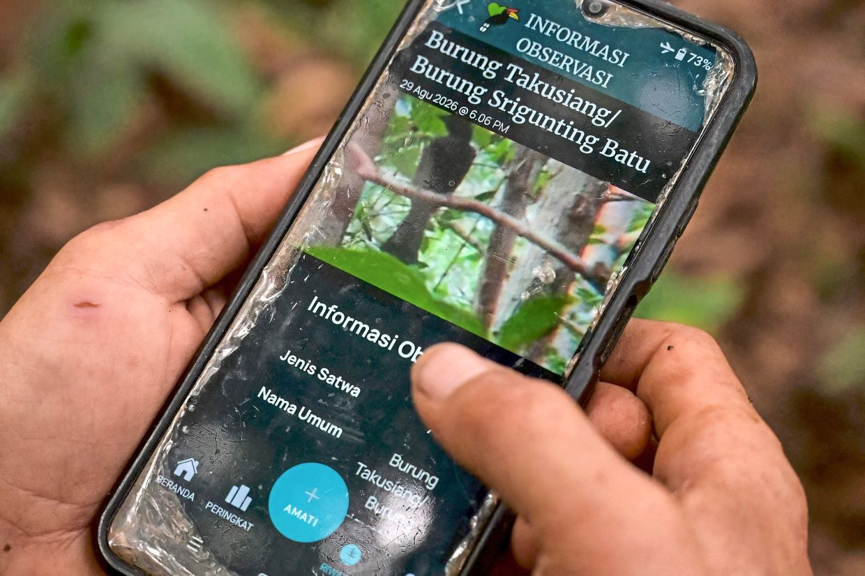 Perfect take: Octavius shooting photographs of wildlife using his mobile phone equipped with a telephoto lens and displaying a photo of a bird he captured in a forest in Labian village in Kapuas Hulu, West Kalimantan. — AFP