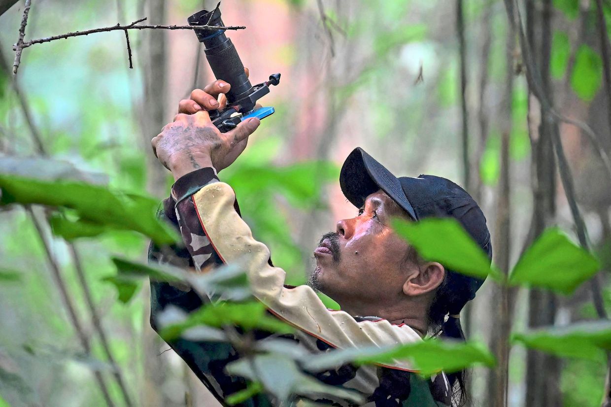 Perfect take: Octavius shooting photographs of wildlife using his mobile phone equipped with a telephoto lens and displaying a photo of a bird he captured in a forest in Labian village in Kapuas Hulu, West Kalimantan. — AFP