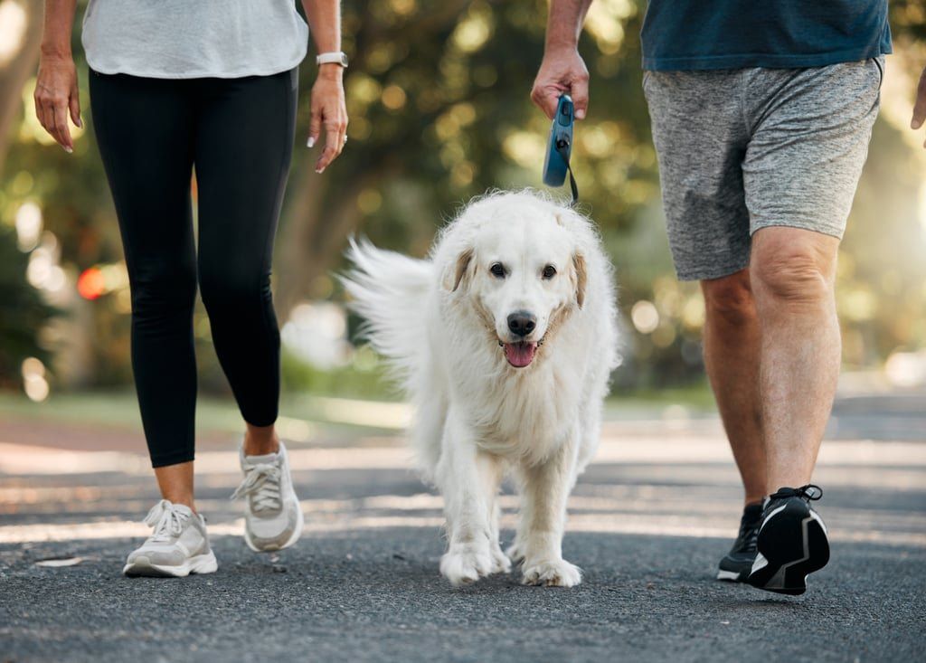 Couples are advised to plan pet custody in advance to protect their animals from emotional distress if they separate. - Photo: Shutterstock