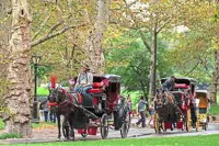 New York set to bid farewell to its iconic horse-drawn carriages