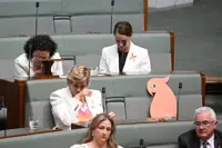 Australian politicians pay tribute to wounded lawmaker