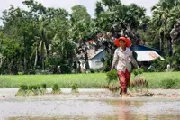ADB approves US$72mil package to boost Cambodia's rural farming resilience