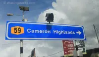 Reassess Cameron Highlands bypass road project to prevent disasters, says NGO