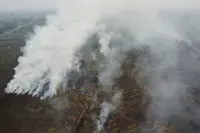 Indonesia's fire hotspots fall by more than half to 147