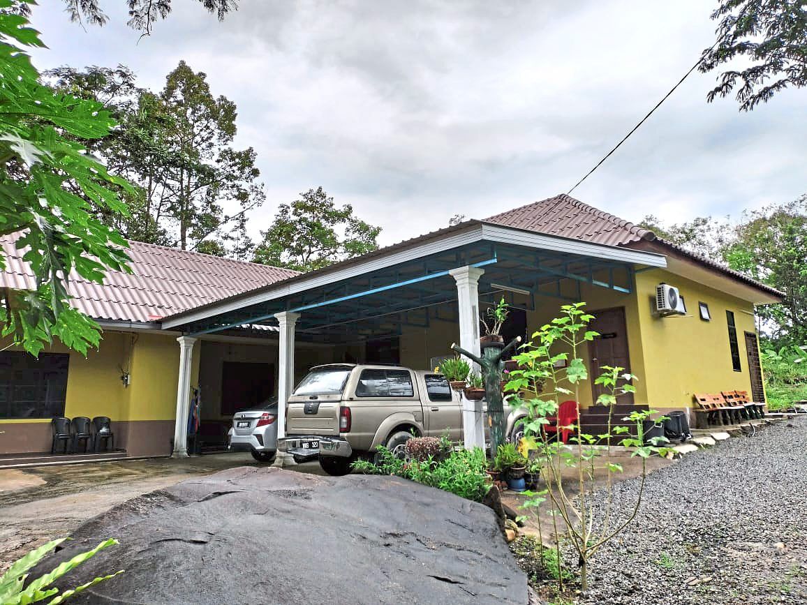 Homestay Kampung Jelawang in Kelantan leverages digital connectivity to reach eco-tourists and outdoor enthusiasts.