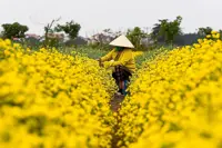 Hung Yen unveils zones, corridors in city status aim