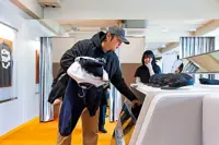 Palantir’s US$170 jacket shows S. Korea appeal