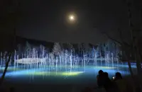 Hokkaido’s Blue Pond illuminated for annual winter display