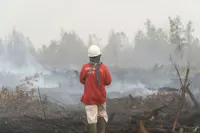 Indonesia continues battling underground peat fires despite rainfall