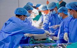 Kidney transplant succeeds after 1,800km journey across Vietnam