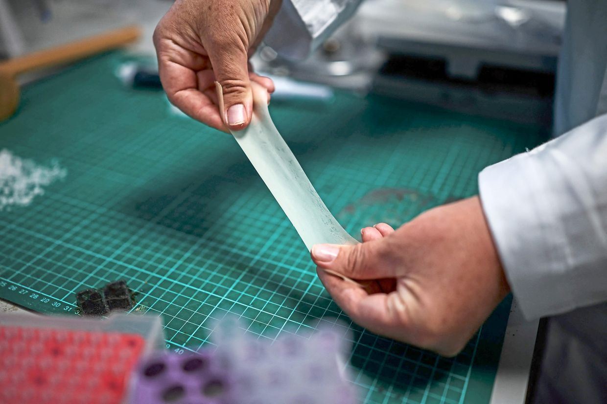 Melia holds a sample of biodegradable rubber.