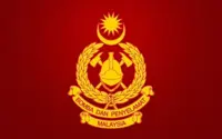 QuickCheck: Did an unauthorised vehicle bearing a 'Bomba' logo run a red light in Kedah?