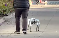 Wanted: Robot-dog walkers. US$20 an hour