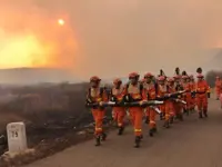 Japanese netizens criticize government's belated response to Mongolian grassland fire