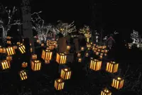 150,000 LED bulbs and 10,000 wooden lanterns light up forest park in Hokkaido