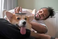 Keeping furry friends clean: How to build a home-grooming routine that works