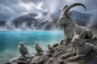 QuickCheck: Is there a lake that can petrify animals?