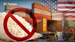 Thai FDA finds no imports of enoki mushrooms from Chinese producer flagged by US