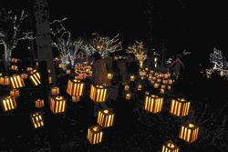 150,000 LED bulbs and 10,000 wooden lanterns light up forest park in Hokkaido